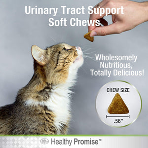 Four Paws Healthy Promise Urinary Tract Health Supplements for Cats