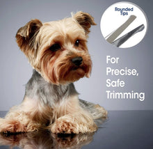 Load image into Gallery viewer, Four Paws Magic Coat Professional Safety Tip Facial Dog Grooming Scissors
