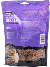 Load image into Gallery viewer, Flukers Grub Bag Calcium Fortified Mealworm Treats for Reptiles
