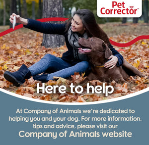 Company of Animals Pet Corrector