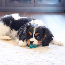 Load image into Gallery viewer, Lil Pals Antimicrobial Teething Ring
