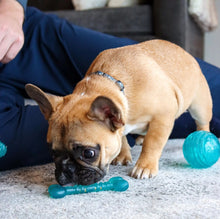 Load image into Gallery viewer, Lil Pals Antimicrobial Teething Ring
