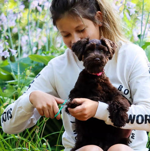 Lil Pals Puppy Grooming Kit