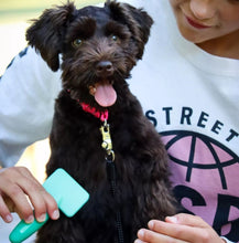 Load image into Gallery viewer, Lil Pals Puppy Grooming Kit
