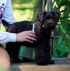 Lil Pals Puppy Grooming Kit