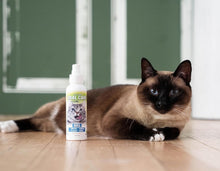 Load image into Gallery viewer, Core Pet Complete Oral Care Gel for Cats Salmon
