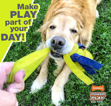 Load image into Gallery viewer, Nylabone Power Play Shake-a-Toss Dog Toy Dog Toy Small
