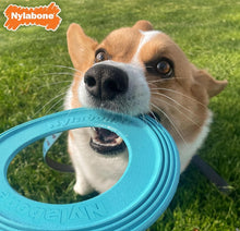 Load image into Gallery viewer, Nylabone Super Flyer Gripz Disc Puppy Toy
