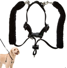 Load image into Gallery viewer, Sporn Original Training Halter for Dogs Black
