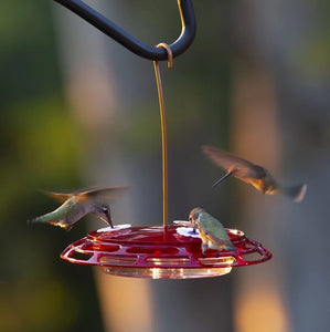 More Birds 3 in 1 Hummingbird Feeder