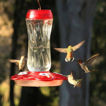 Load image into Gallery viewer, More Birds Orion Glass Hummingbird Feeder
