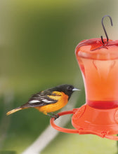 Load image into Gallery viewer, More Birds Orange Orioles Feeder
