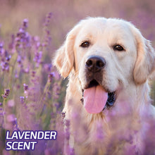 Load image into Gallery viewer, Hartz Home Protection Lavender Scent Odor Eliminating Dog Pads Regular
