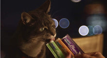 Load image into Gallery viewer, Inaba Churu Tuna Varieties Creamy Cat Treat
