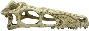 Komodo Raptor Skull Terrarium Decoration