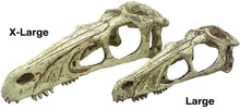 Load image into Gallery viewer, Komodo Raptor Skull Terrarium Decoration
