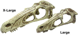 Komodo Raptor Skull Terrarium Decoration