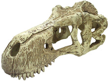 Load image into Gallery viewer, Komodo T-Rex Skull Terrarium Decoration
