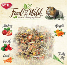 Load image into Gallery viewer, Kaytee Food From The Wild Guinea Pig
