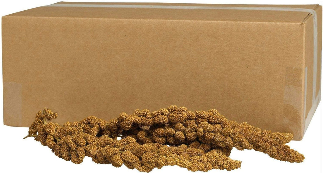 Kaytee Gold Spray Millet for Birds