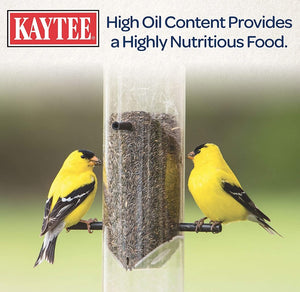 Kaytee Nyjer Seed Wild Bird Food