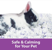 Load image into Gallery viewer, Kaytee Clean and Cozy Small Pet Bedding Lavender Scented
