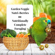 Load image into Gallery viewer, Lafeber Garden Veggie Nutri-Berries Parrot Food
