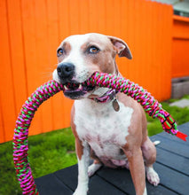 Load image into Gallery viewer, Mammoth Snake Biter Rope Tug Dog Toy Medium
