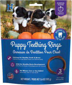 N-Bone Puppy Teething Ring Pumpkin