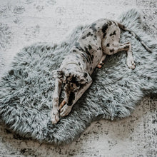Load image into Gallery viewer, Paw PupRug Faux Fur Orthopedic Dog Bed Grey
