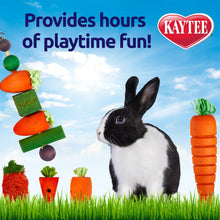 Load image into Gallery viewer, Kaytee Chew &amp; Treat Toy Assortment for Rabbits
