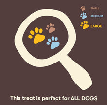 Load image into Gallery viewer, Pet n Shape Chik n Biscuits Dog Treats
