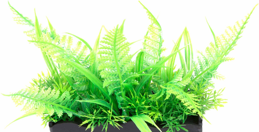 Penn Plax Ostrich Fern Bunch Plant 2