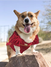 Load image into Gallery viewer, Pets First USC Mesh Jersey for Dogs
