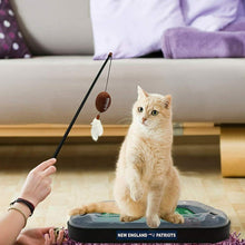 Load image into Gallery viewer, Pets First Las Vegas Raiders Cat Scratcher
