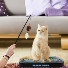 Load image into Gallery viewer, Pets First Seattle Seahawks Cat Scratcher
