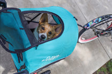 Load image into Gallery viewer, Petique Trailblazer Pet Jogger Neptune
