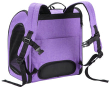 Load image into Gallery viewer, Petique Backpacker Pet Carrier Orchid
