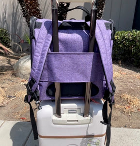 Petique Backpacker Pet Carrier Orchid