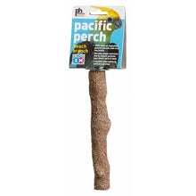 Load image into Gallery viewer, Prevue Pacific Perch Beach Branch
