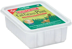 Gimborn CatA'bout Cat Grass Plus Multi-Cat