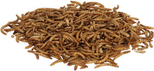 Load image into Gallery viewer, Zilla Reptile Munchies Mealworms
