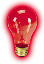 Load image into Gallery viewer, Zilla Night Red Heat Incandescent Bulb
