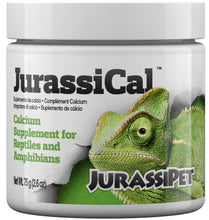 Load image into Gallery viewer, JurassiPet JurassiCal Reptile and Amphibian Dry Calcium Supplement
