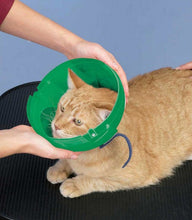 Load image into Gallery viewer, Soft Claws Soft Paws E-Collar for Cat and Small Dogs
