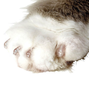 Soft Claws Nail Caps for Cats Clear