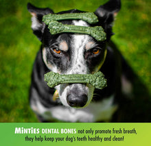 Load image into Gallery viewer, Sergeants Minties Dental Treats for Dogs Tiny Small
