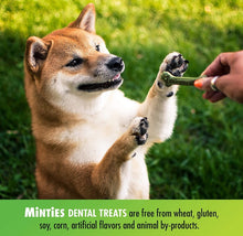 Load image into Gallery viewer, Sergeants Minties Dental Treats for Dogs Tiny Small
