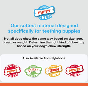 Nylabone Puppy Chew Bone Chicken Flavor