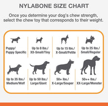 Load image into Gallery viewer, Nylabone Puppy Chew Bone Chicken Flavor
